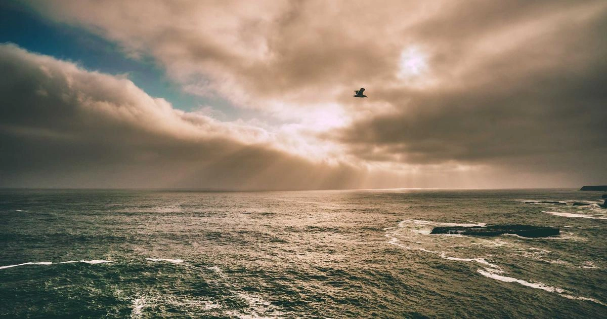 Cottesloe to Coogee: The Coastal Walk Guide