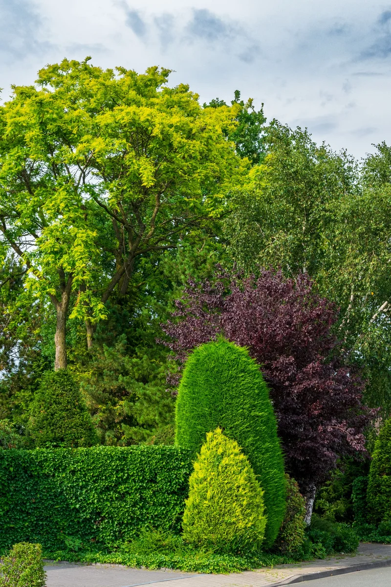 Property photo 39 of 40
